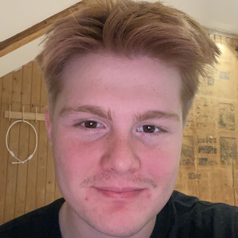 Trym Hamer Gudvangen